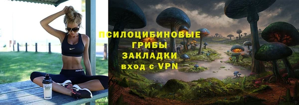 стафф Алексин