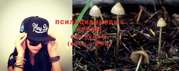 спайс Инта