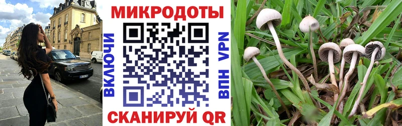 маркетплейс клад  купить наркоту  ссылка на мегу онион  Дно  Галлюциногенные грибы Psilocybine cubensis 